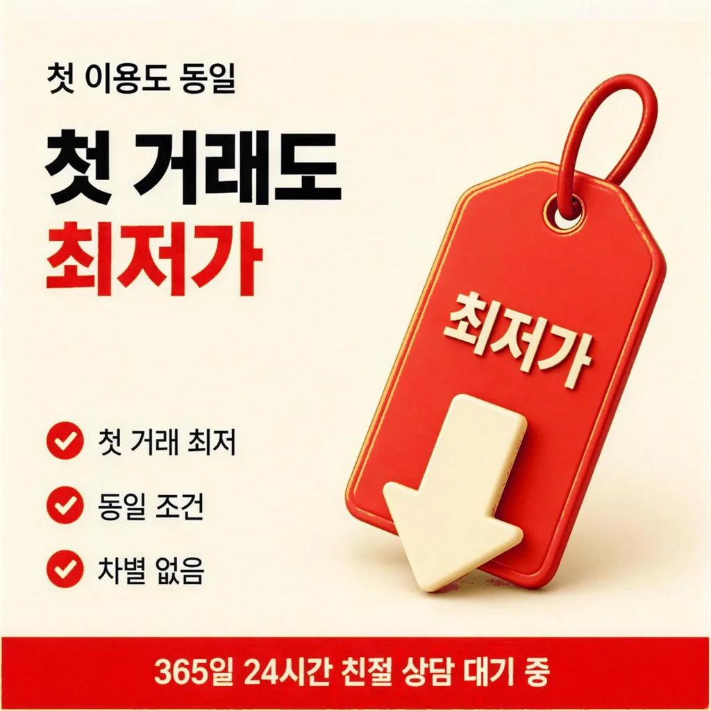 카드사별 정책 안내